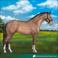 Horse Color:Sable Champagne 