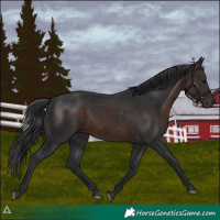 Horse Color:Brown 