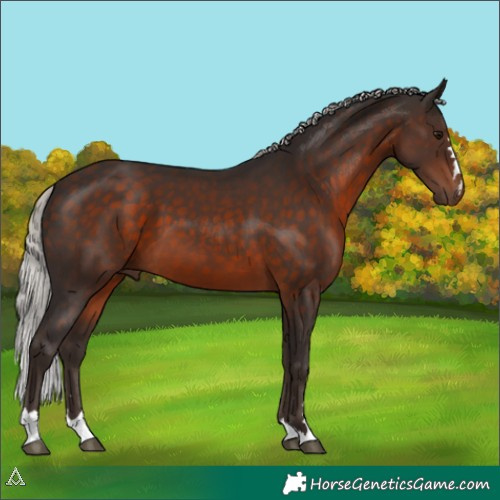 Horse Color:Silver Brown 