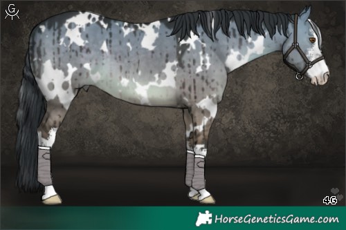 Horse Color:Platinum White Spotted Brown Dun Brindle 