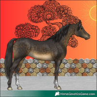 Horse Color:Buckskin Sabino