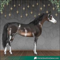 Horse Color:Brown Sabino 