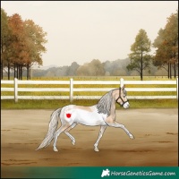 Horse Color:Palomino Pearl Sabino Frame  and Palomino Pearl Sabino Tobiano Frame 