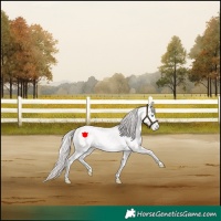 Horse Color:Perlino Sabino 