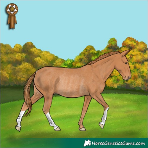 Horse Color:Chestnut Rabicano 