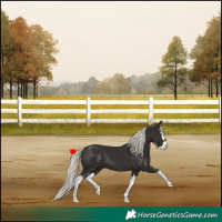 Horse Color:Liver Chestnut Mushroom Splash 