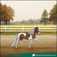 Horse Color:Liver Chestnut Mushroom Splash Tobiano Varnish 