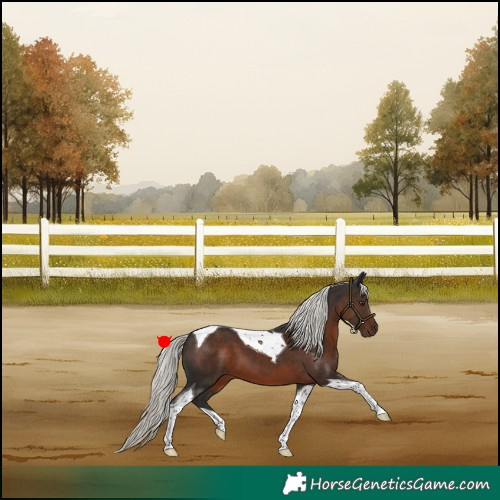 Horse Color:Liver Chestnut Mushroom Tobiano 