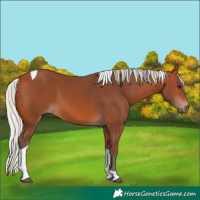 Horse Color:Silver Bay Tobiano 