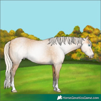 Horse Color:Gray Silver Buckskin Pearl Tobiano 