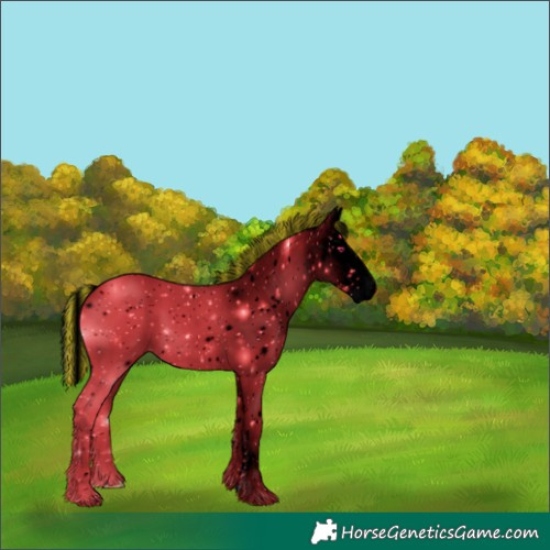 Horse Color:ERROR: UNKNOWN ANOMALY