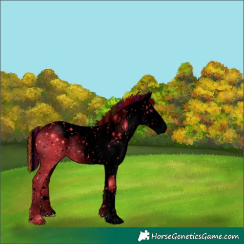 Horse Color:ERROR: UNKNOWN ANOMALY