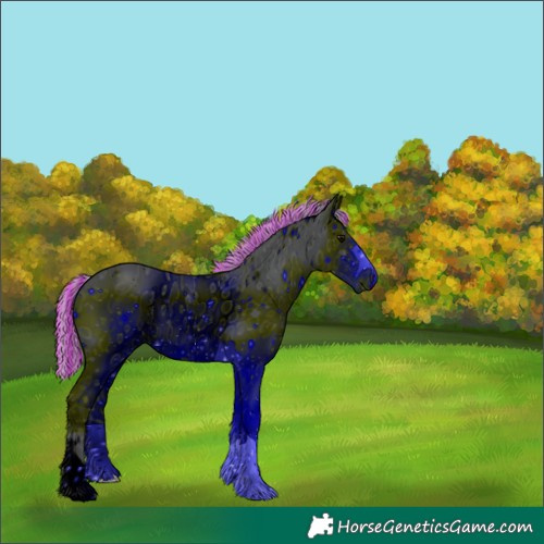 Horse Color:ERROR: UNKNOWN ANOMALY