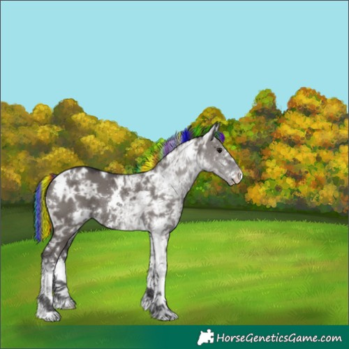 Horse Color:Painted White Spotted Smoky Grullo Ice Appaloosa 