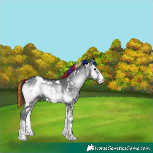 Horse Color:Painted White Spotted Blue Onyx Chinchilla Sabino 
