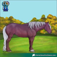 Horse Color:Silver Bay