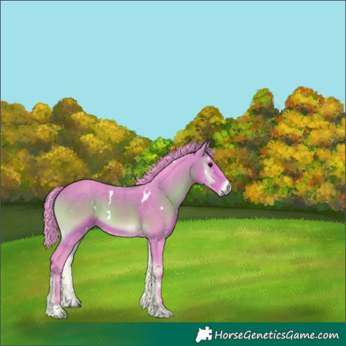 Horse Color:Watercolor White Spotted Bay Onyx 