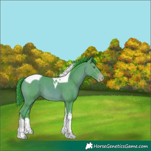 Horse Color:Watercolor Sable Champagne Tobiano 