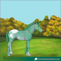 Horse Color:Watercolor Brown Appaloosa 