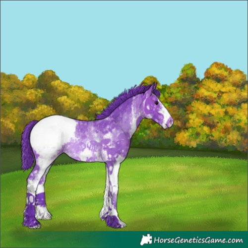 Horse Color:Watercolor White Spotted Bay Varnish Rabicano 