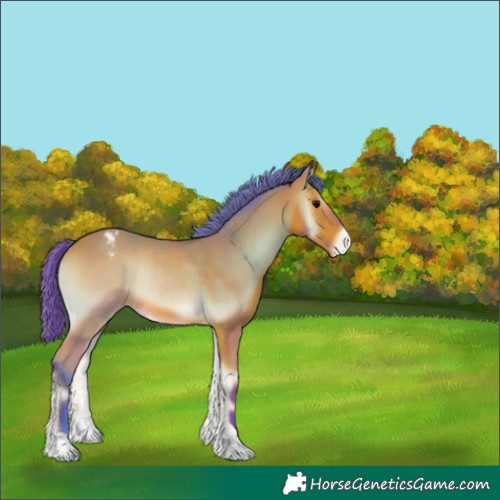 Horse Color:Watercolor Bay Onyx Appaloosa Rabicano 