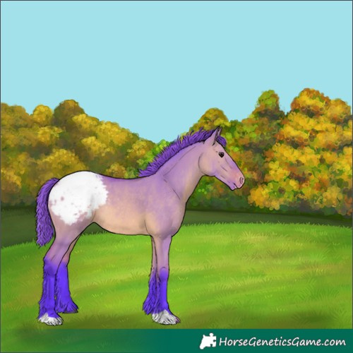 Horse Color:Watercolor Bay Dun Appaloosa Rabicano 