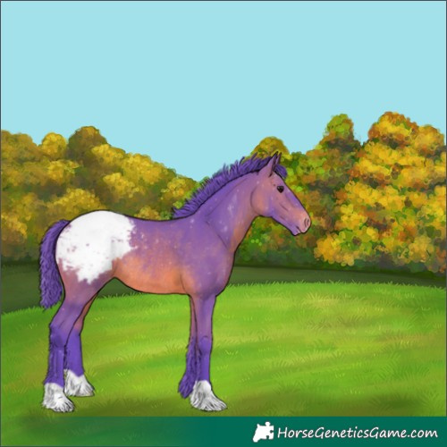 Horse Color:Watercolor Brown Appaloosa Rabicano 