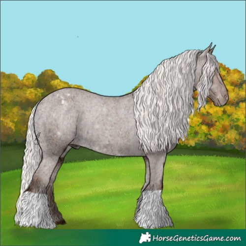 Horse Color:Silver Black Ice Appaloosa Rabicano 