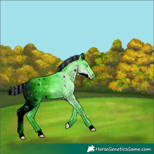 Horse Color:ERROR: UNKNOWN ANOMALY