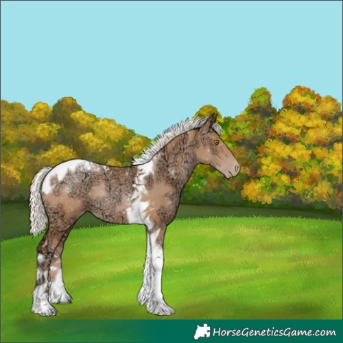 Horse Color:Silver Bay Ice Pearl Tobiano Varnish Rabicano 