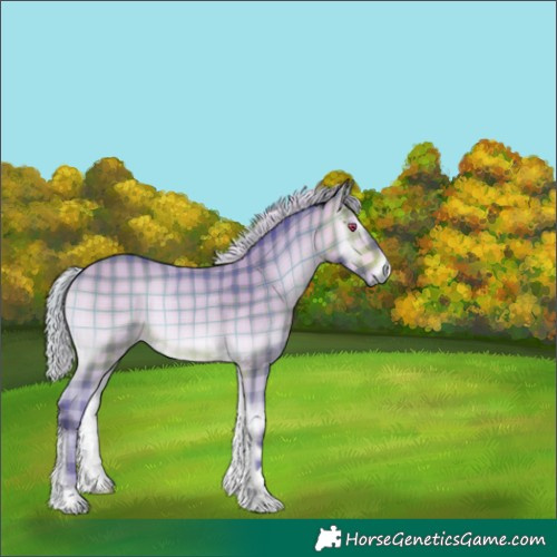 Horse Color:Watercolor Plaid Silver Bay Chinchilla Onyx