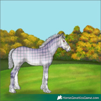Horse Color:Watercolor Plaid  Silver Bay Chinchilla Onyx 