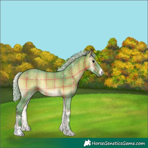 Horse Color:Watercolor Plaid  Silver Brown Onyx 