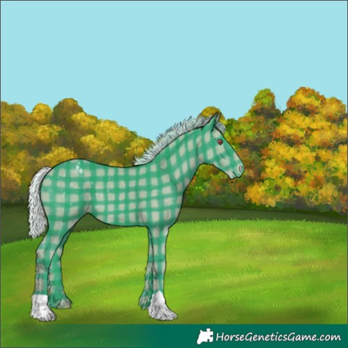 Horse Color:Watercolor Plaid  Silver Black Chinchilla Appaloosa 