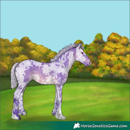 Horse Color:Watercolor Silver Brown Chinchilla Ice 