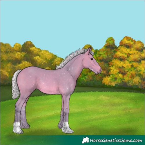 Horse Color:Watercolor Silver Bay 