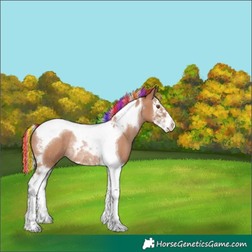 Horse Color:Painted Silver Black Pearl Splash Tobiano Rabicano 