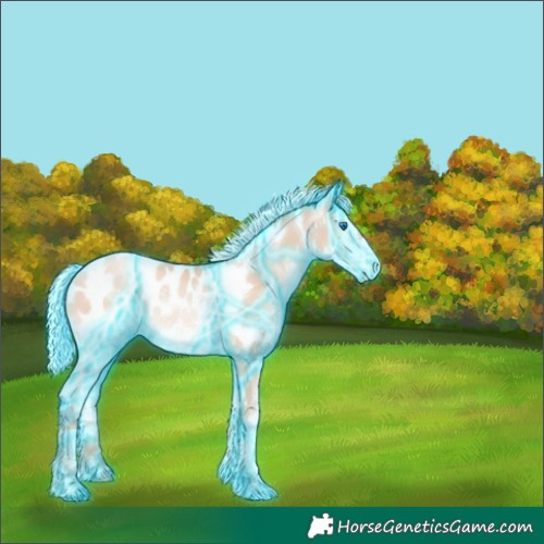 Horse Color:Thunderstruck Silver Classic Champagne Pearl Splash Tobiano Appaloosa Rabicano 
