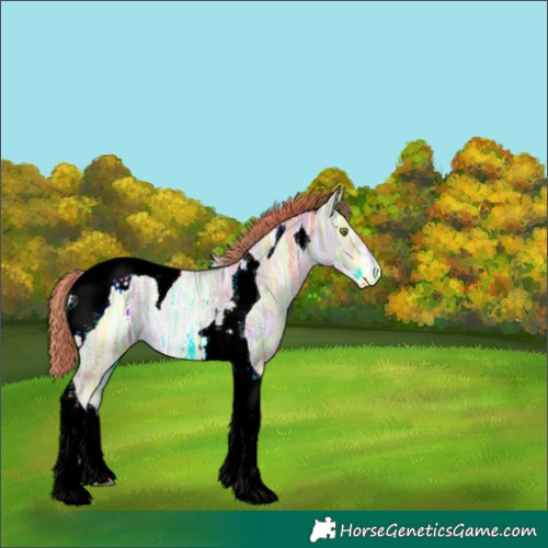 Horse Color:Nacre Classic Champagne Ice Pearl Tobiano Appaloosa Rabicano 
