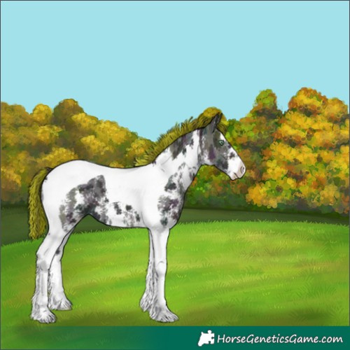 Horse Color:Painted Midnight Sable Champagne Ice Sabino Tobiano 