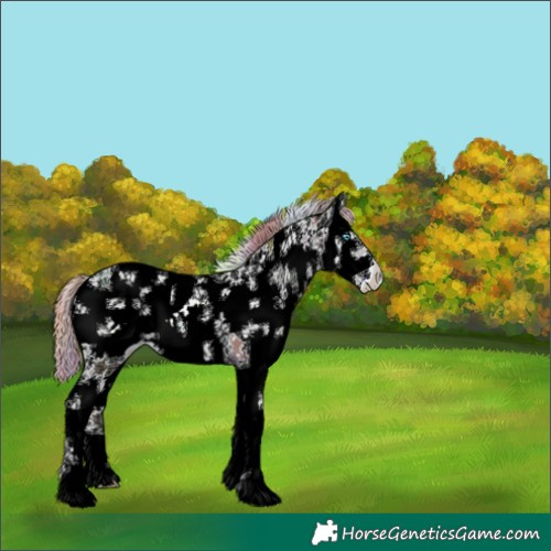 Horse Color:Nacre White Spotted Classic Champagne Ice Pearl Mushroom Sabino 