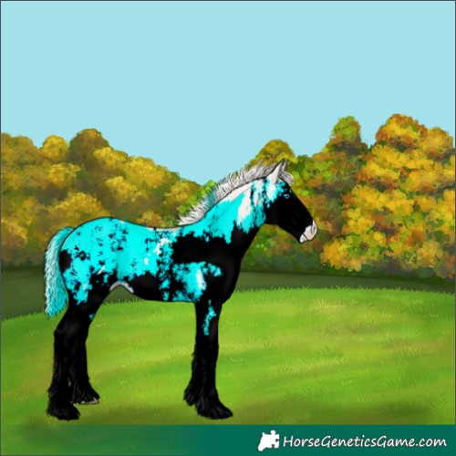 Horse Color:Gold Cream Champagne Pearl Dun Sabino Splash 