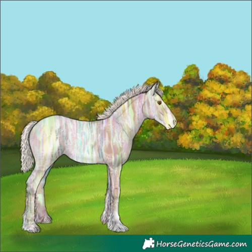 Horse Color:Silver Black Ice Pearl Appaloosa 