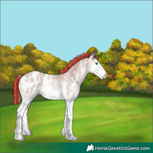Horse Color:Painted Black Pearl Mushroom Sabino Splash Appaloosa Rabicano 