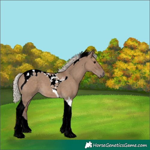 Horse Color:Silver Grullo Tobiano 