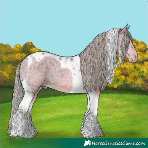 Horse Color:Silver Black Ice Tobiano 