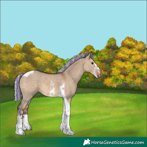 Horse Color:Painted Silver Brown Dun Sabino Tobiano 