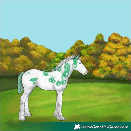 Horse Color:Watercolor White Spotted Black Splash Tobiano 