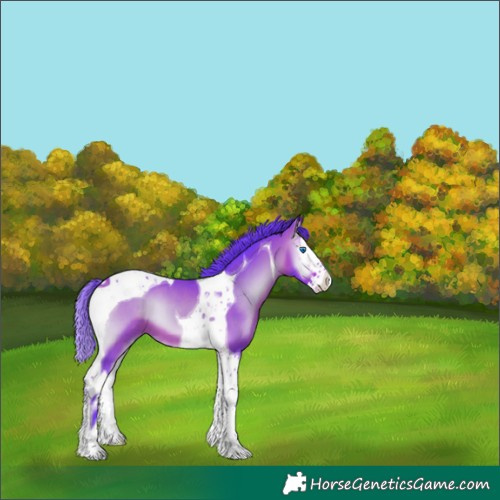 Horse Color:Watercolor Bay Onyx Splash Tobiano 