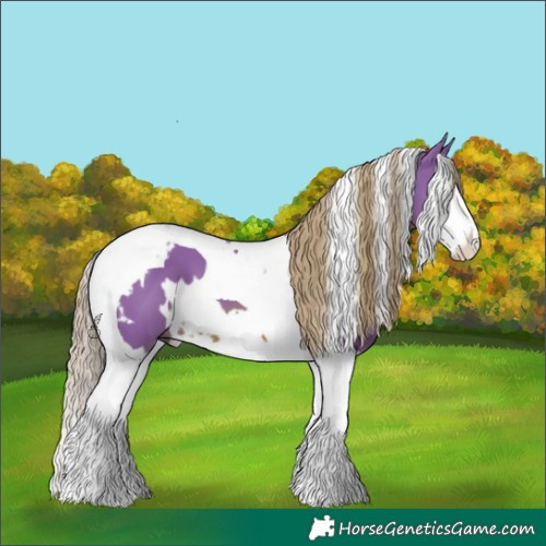 Horse Color:Watercolor White Spotted Chestnut Splash Tobiano 